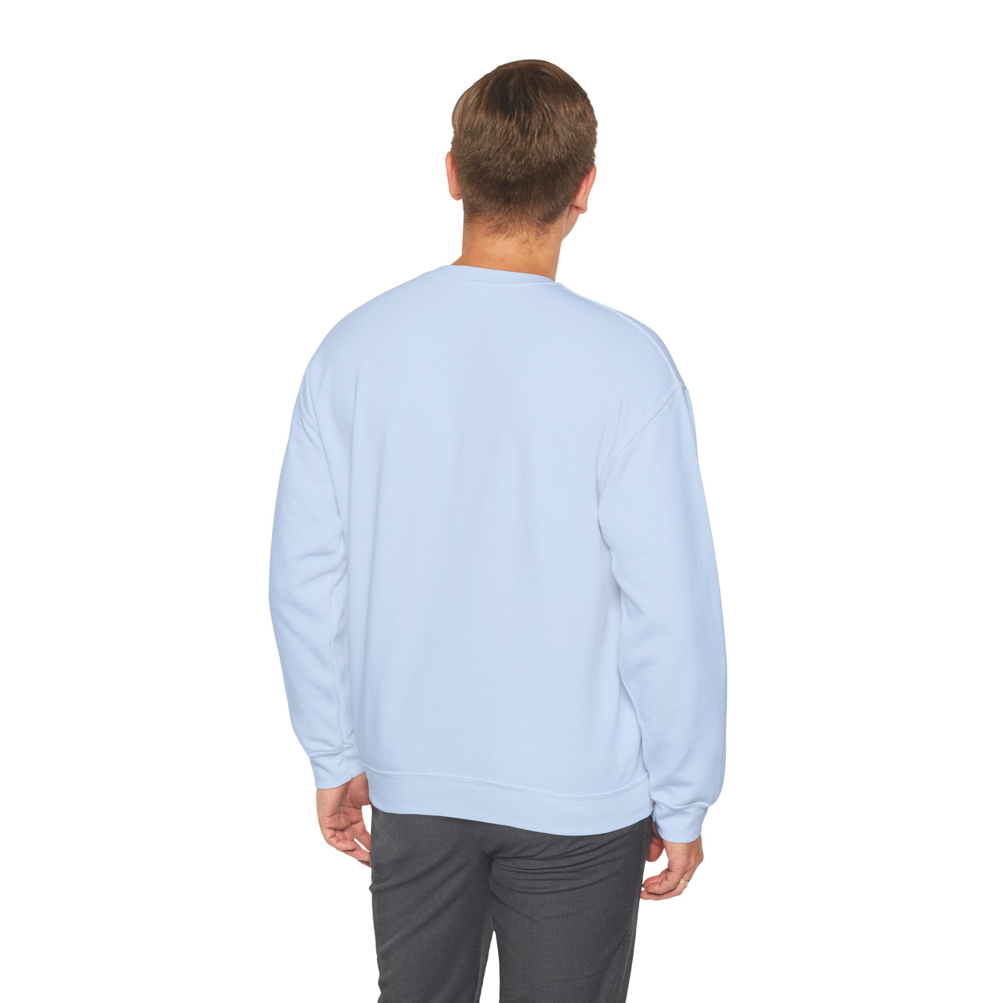 IA to Human Don't Worry — Funny AI Sweatshirt Gift for Developers - Image 7