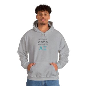 Without Data There Is No AI – Data Science Funny Tech Pullover Hoodie