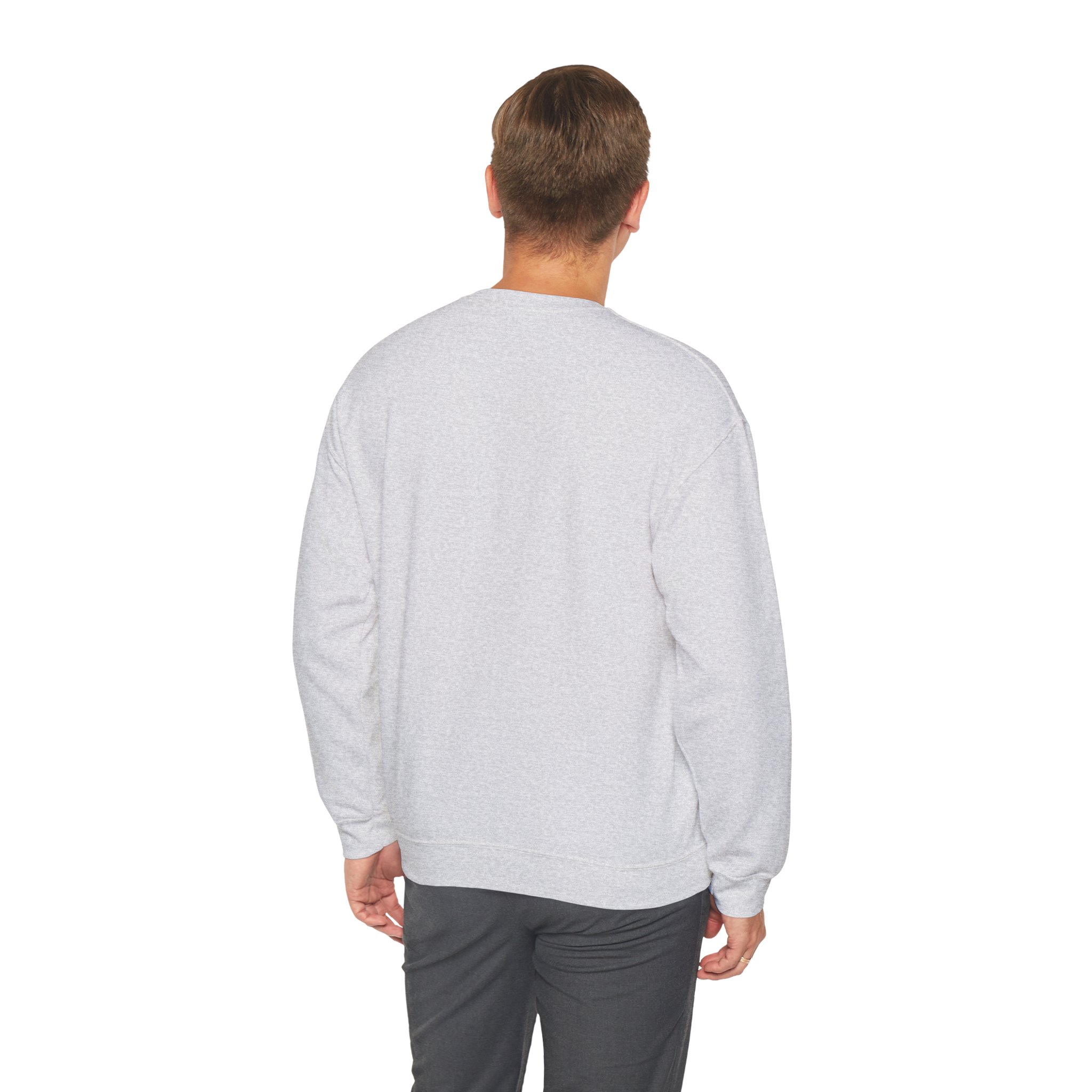 IA to Human Don't Worry — Funny AI Sweatshirt Gift for Developers - Image 26