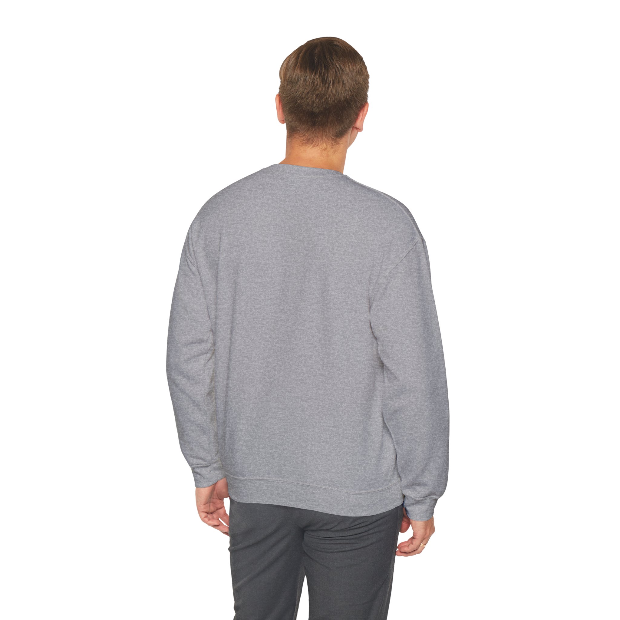 IA to Human Don't Worry — Funny AI Sweatshirt Gift for Developers - Image 56