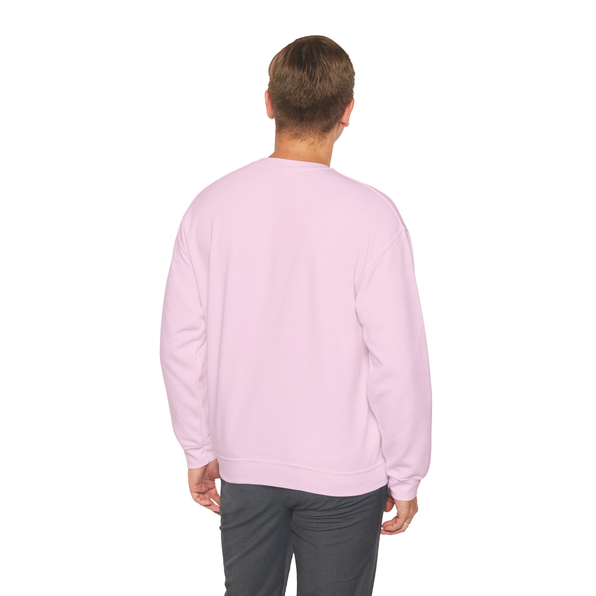 IA to Human Don't Worry — Funny AI Sweatshirt Gift for Developers - Image 76