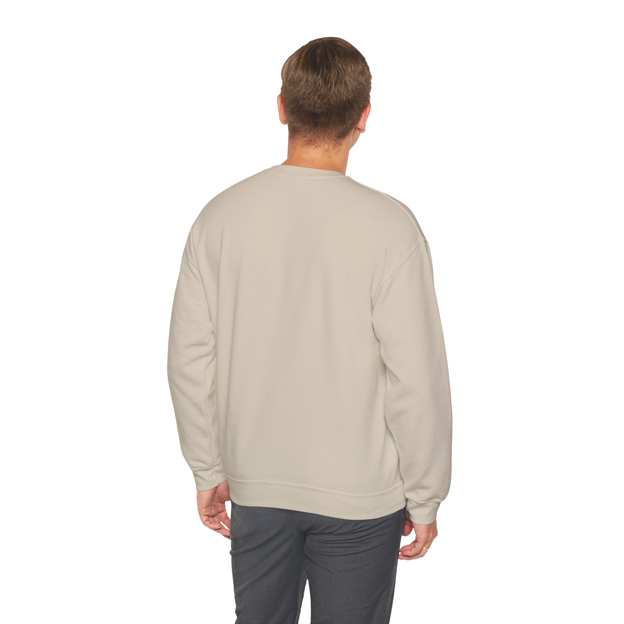 IA to Human Don't Worry — Funny AI Sweatshirt Gift for Developers - Image 46