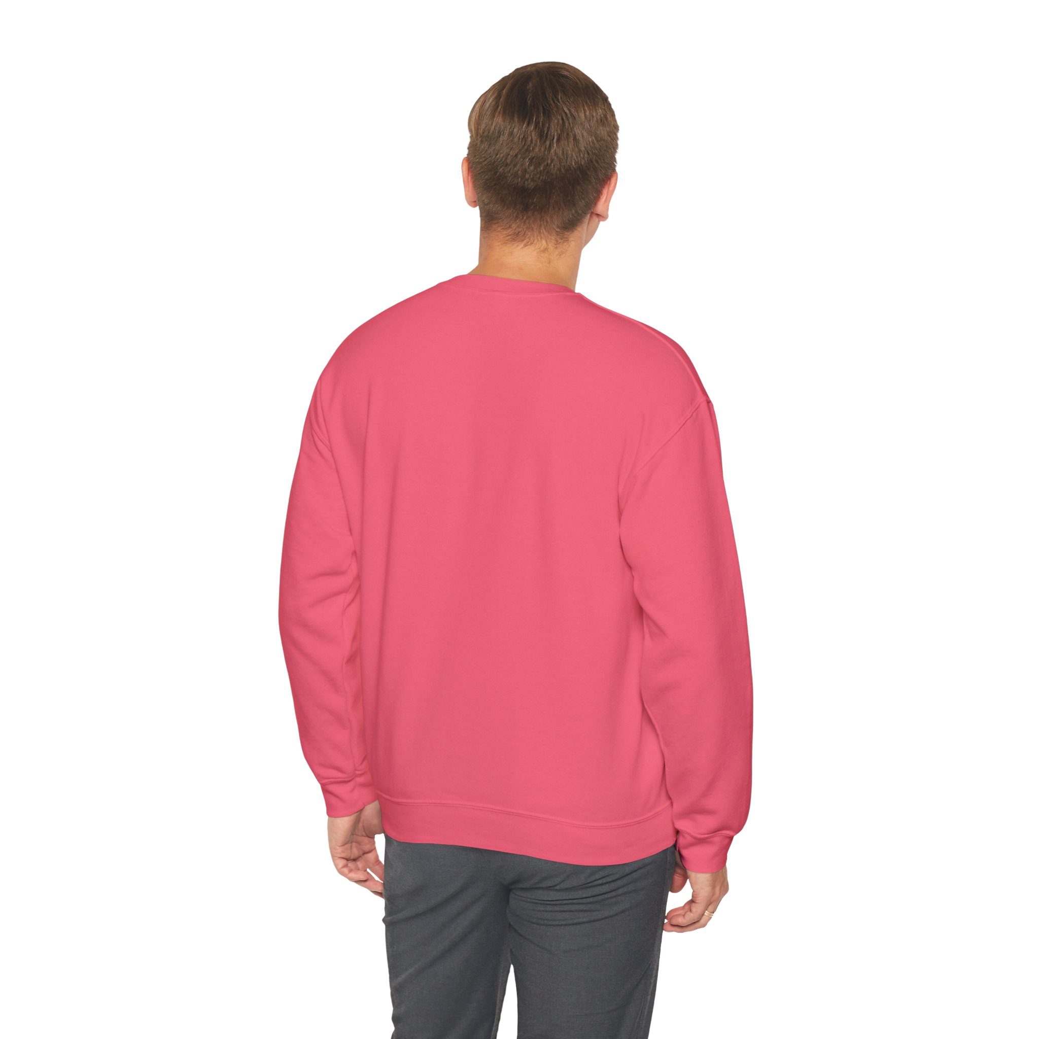 IA to Human Don't Worry — Funny AI Sweatshirt Gift for Developers - Image 86