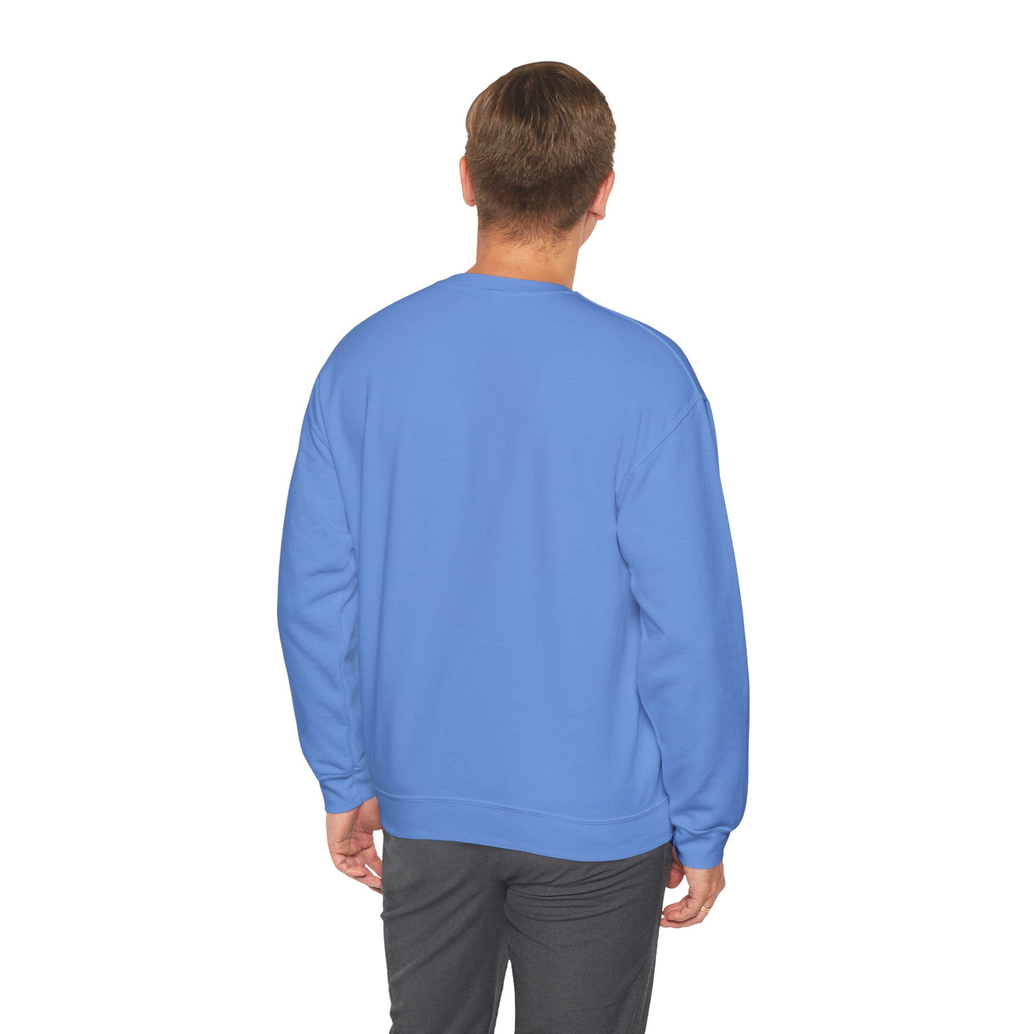 IA to Human Don't Worry — Funny AI Sweatshirt Gift for Developers - Image 66