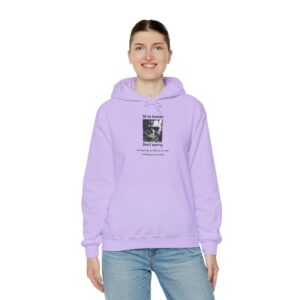 IA to Human Don't Worry — AI Humor Hoodie Gift for Developers & Geeks