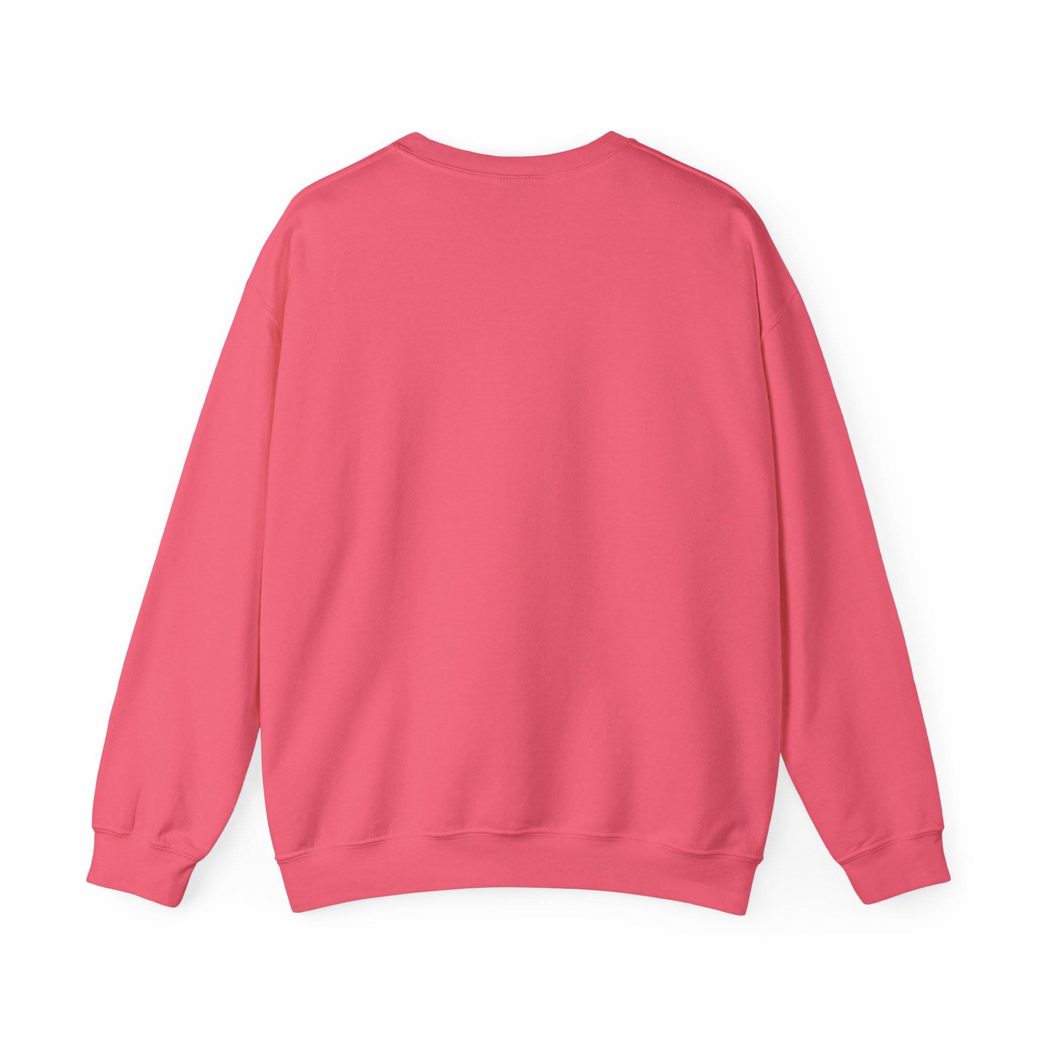 IA to Human Don't Worry — Funny AI Sweatshirt Gift for Developers - Image 81
